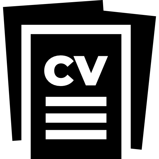 curriculum vitae